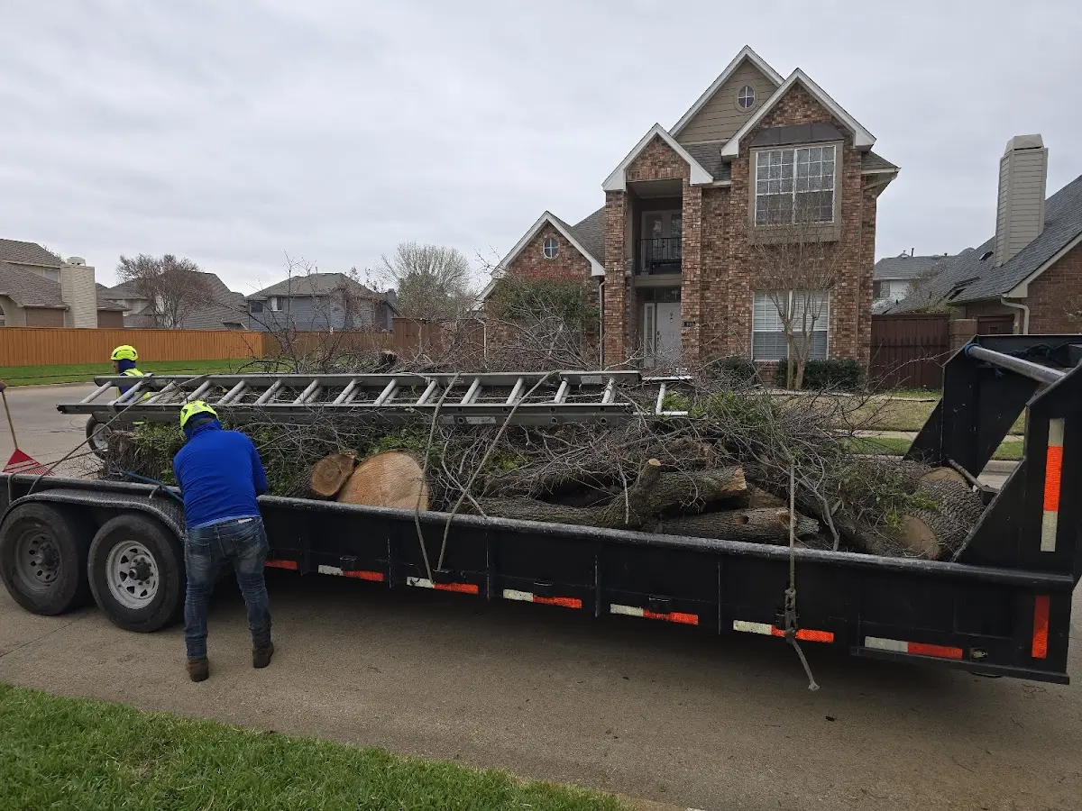 Expert Tree Fertilization with proper safety equipment in Drummond